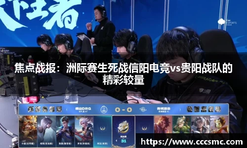 3377体育官网