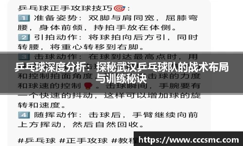 3377体育官网