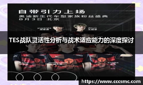 TES战队灵活性分析与战术适应能力的深度探讨